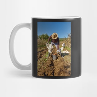 Potatoes harvest Mug